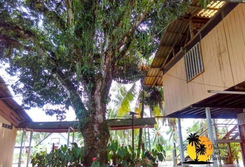 Номер Стандарт Вид на Сад, Palmas Del Pacifico