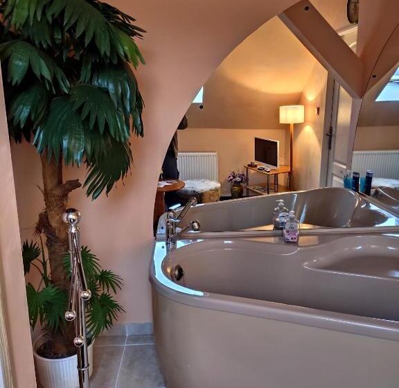 غرفة قياسية, Penzion U Krtka