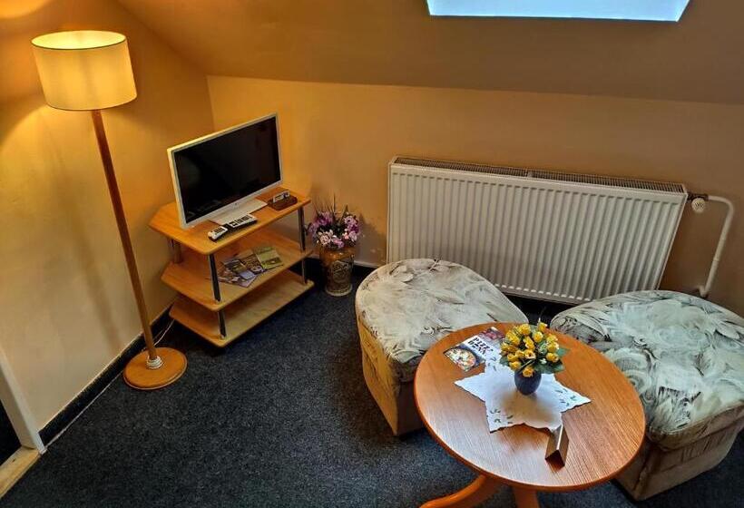 غرفة قياسية, Penzion U Krtka