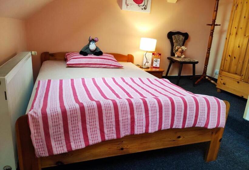 غرفة قياسية, Penzion U Krtka