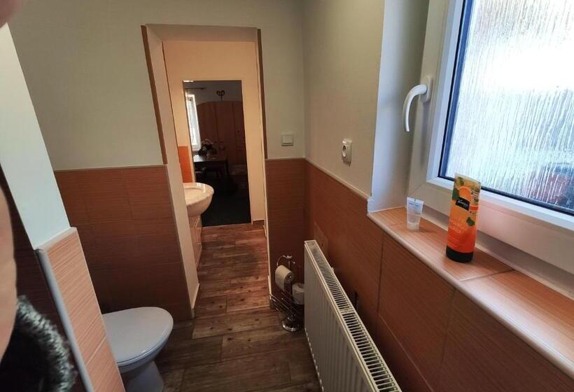 غرفة قياسية رباعية, Penzion U Krtka