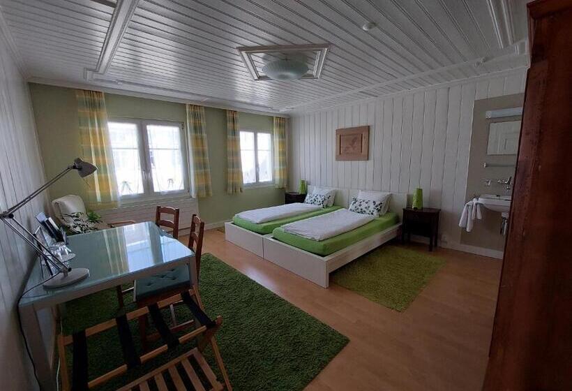 اتاق استاندارد با سرویس بهداشتی مشترک, B&b Gästehaus Rössli Schwellbrunn