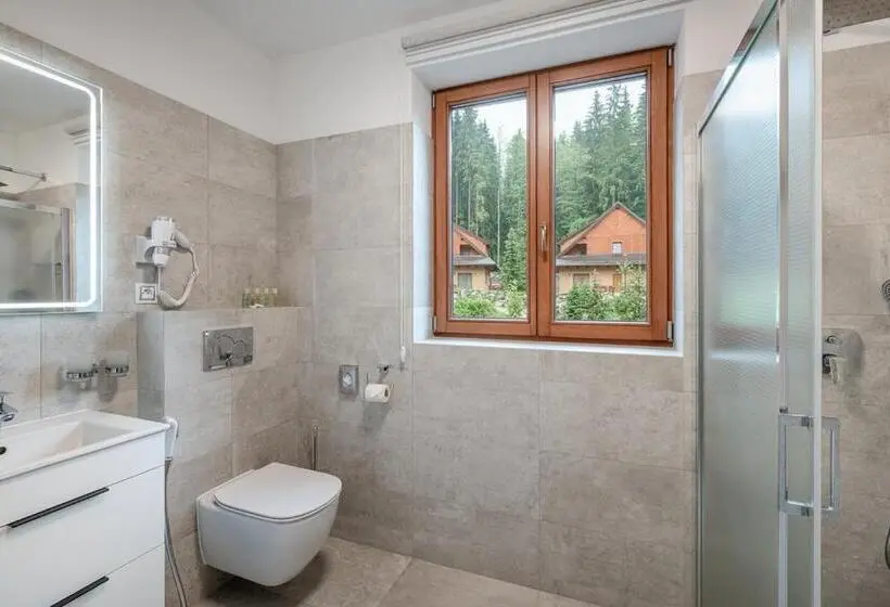 スタンダードルーム, Wellness Hotel Ondrášův Dvůr