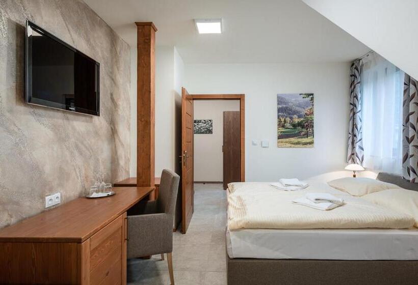 غرفة قياسية, Wellness Hotel Ondrášův Dvůr