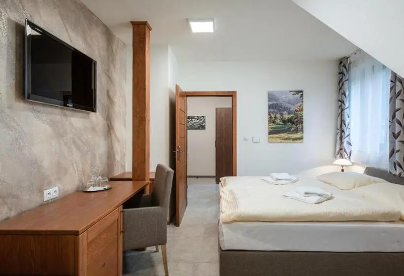 スタンダードルーム, Wellness Hotel Ondrášův Dvůr