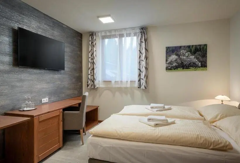 スタンダードルーム, Wellness Hotel Ondrášův Dvůr