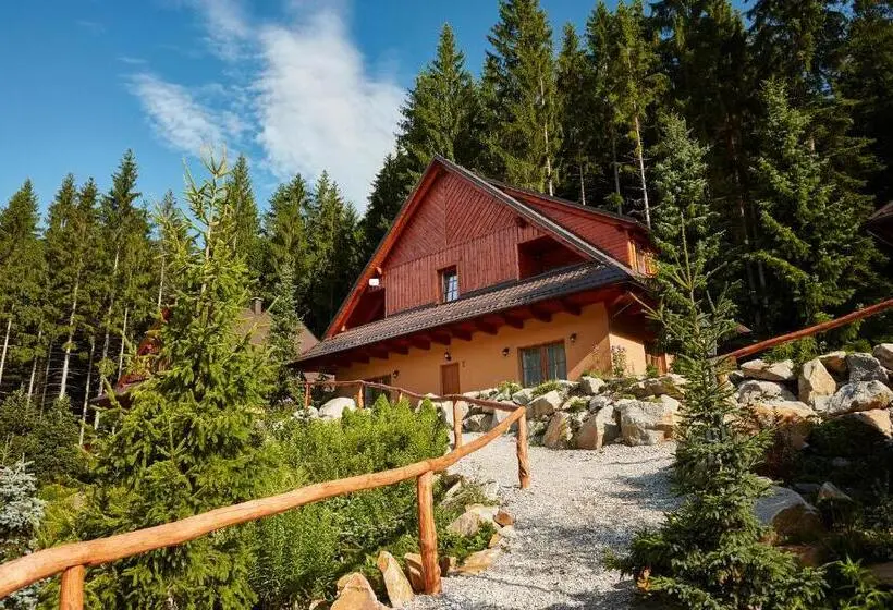 １ベッドルームのデラックスアパートメント, Wellness Hotel Ondrášův Dvůr