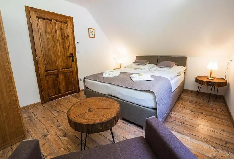 １ベッドルームのデラックスアパートメント, Wellness Hotel Ondrášův Dvůr