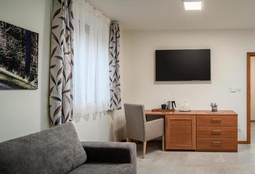 غرفة قياسية سرير كينج, Wellness Hotel Ondrášův Dvůr