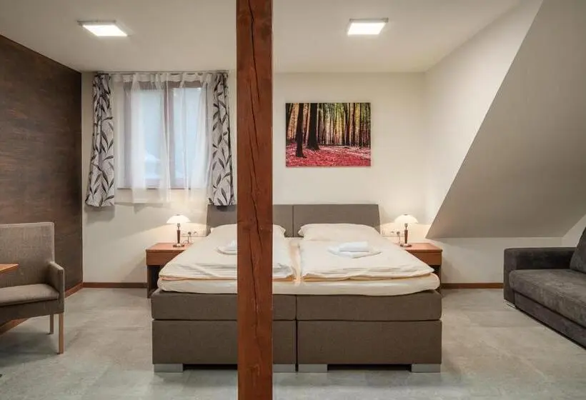 キングサイズベッドのスタンダードルーム, Wellness Hotel Ondrášův Dvůr