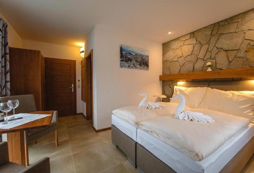 غرفة قياسية لذوى الاحتياجات الخاصة, Wellness Hotel Ondrášův Dvůr