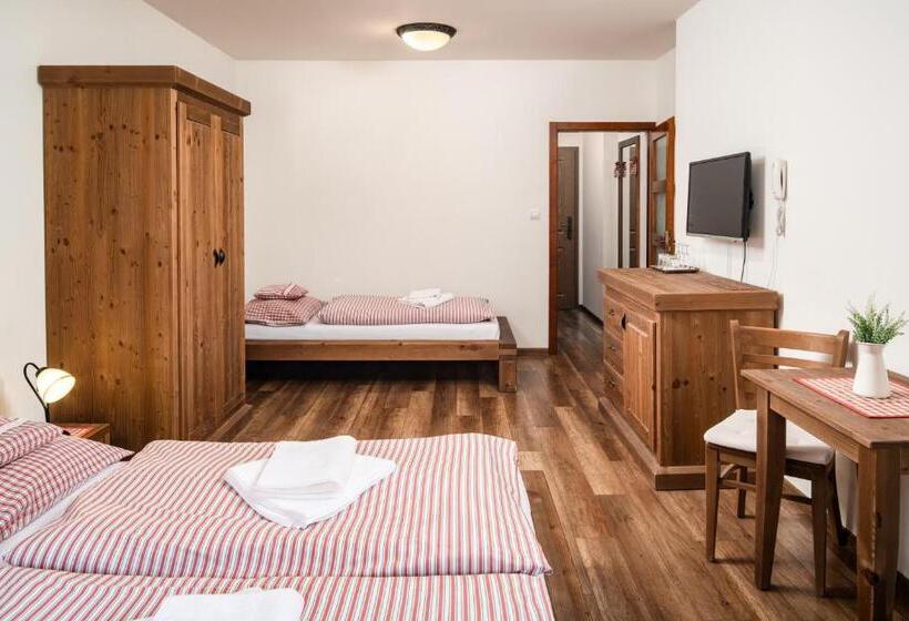 غرفة قياسية, Wellness Hotel Ondrášův Dvůr