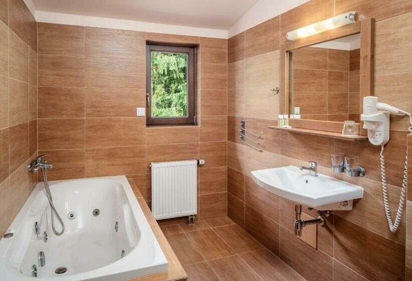 غرفة ديلوكس, Wellness Hotel Ondrášův Dvůr