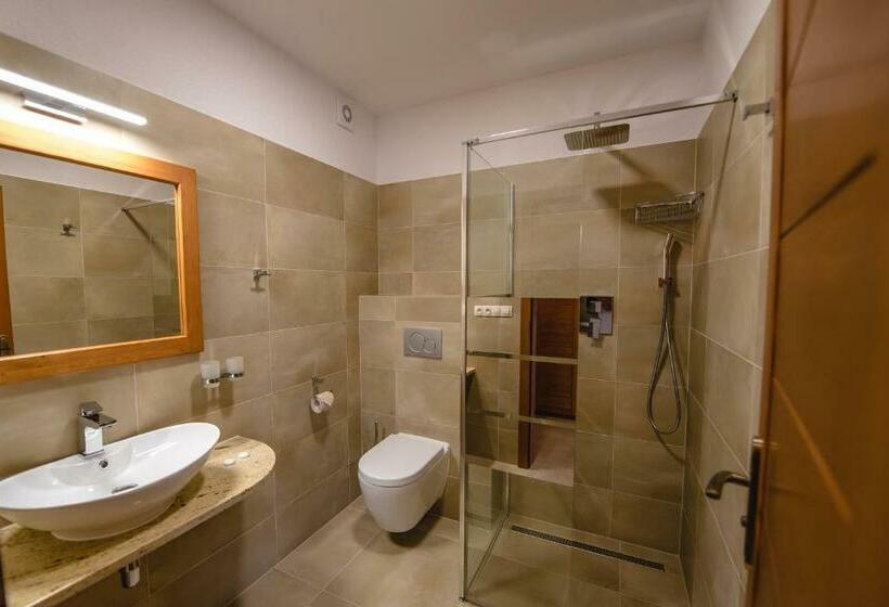 غرفة قياسية لذوى الاحتياجات الخاصة, Wellness Hotel Ondrášův Dvůr