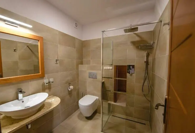 身障者適用スタンダードルーム, Wellness Hotel Ondrášův Dvůr
