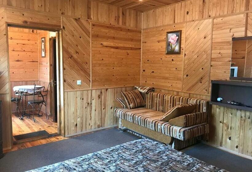 주니어 스위트, Galicky Dvir