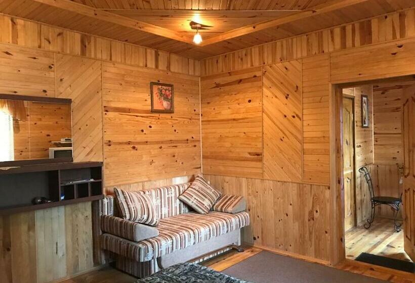 주니어 스위트, Galicky Dvir