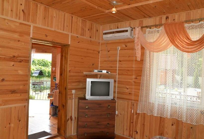 주니어 스위트, Galicky Dvir