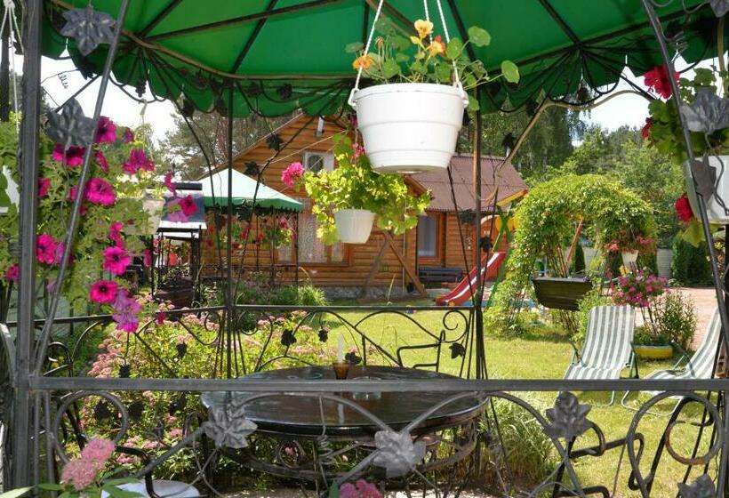 주니어 스위트, Galicky Dvir