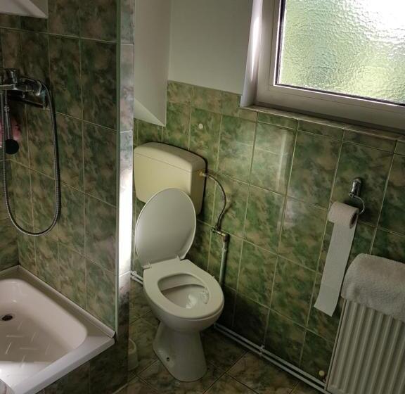 חדר משפחתי, Pensiunea Bunea