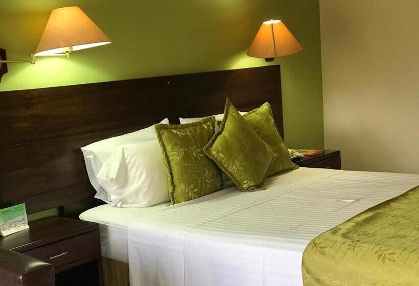 スタンダードシングルルーム, Casa Morales Hotel Internacional Y Centro De Convenciones