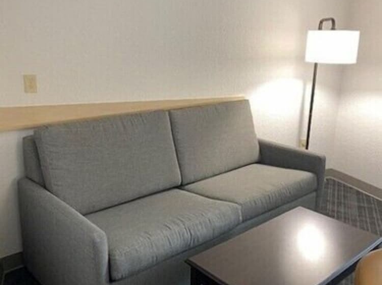 جناح لذوى الاحتياجات الخاصة, Comfort Suites Salemroanoke I81