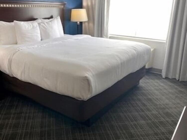 جناح, Comfort Suites Salemroanoke I81