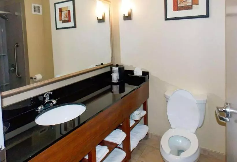 身障者適用スイートルーム, Comfort Suites Salemroanoke I81