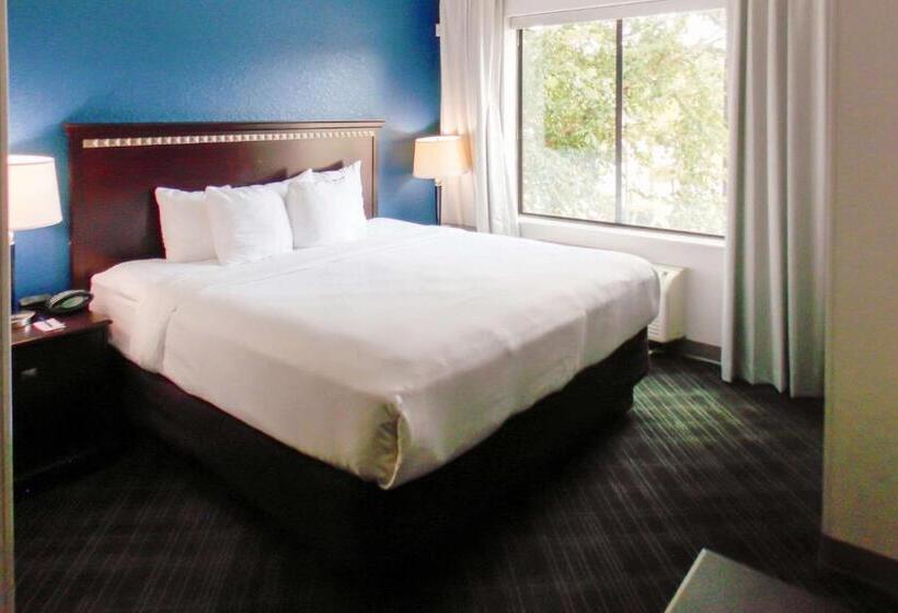 جناح سرير كينج, Comfort Suites Salemroanoke I81