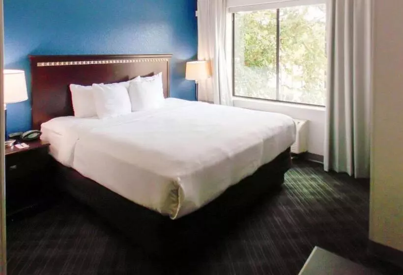 キングサイズベッドのスイートルーム, Comfort Suites Salemroanoke I81