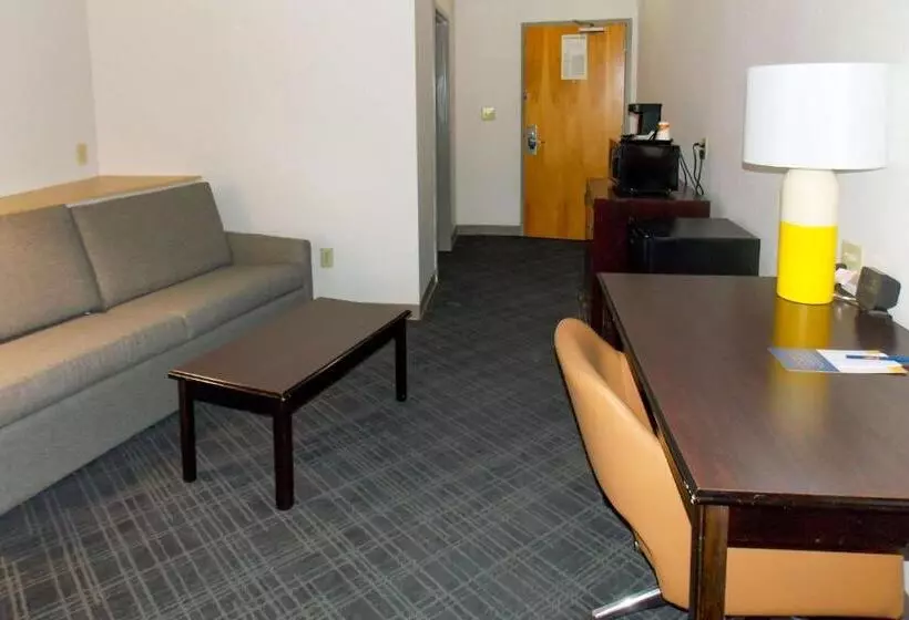 キングサイズベッドのスイートルーム, Comfort Suites Salemroanoke I81