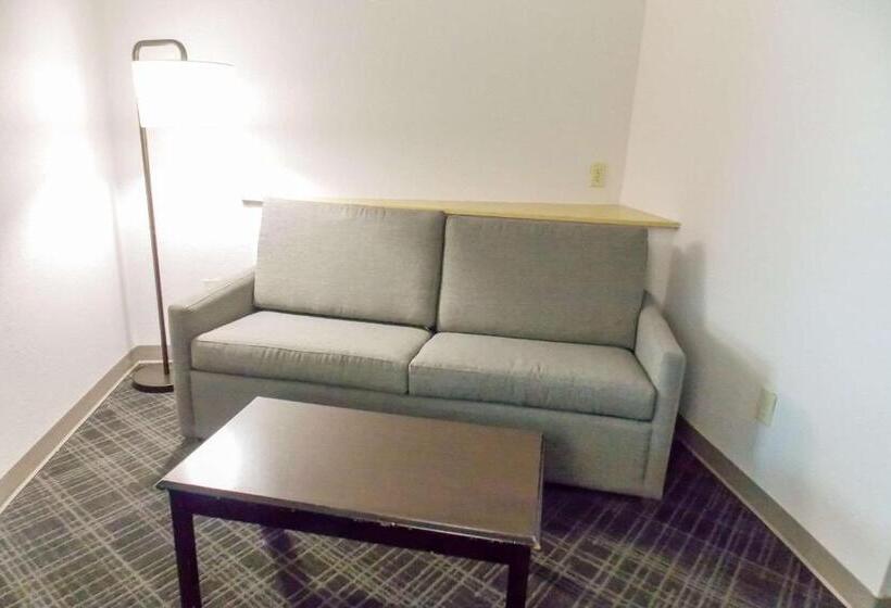 스위트 킹사이즈 침대, Comfort Suites Salemroanoke I81