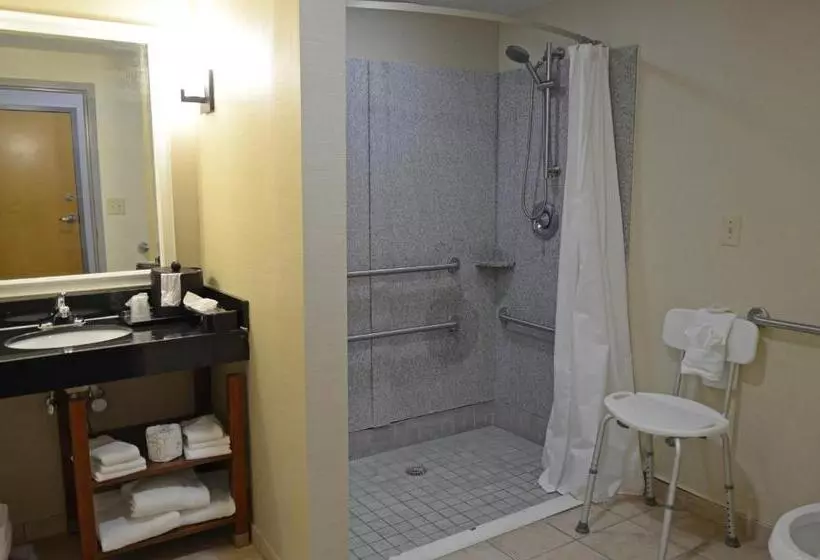 身障者適用スイートルーム, Comfort Suites Salemroanoke I81