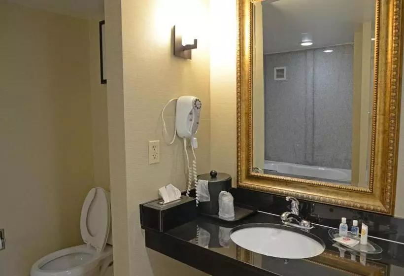 キングサイズベッドのスイートルーム, Comfort Suites Salemroanoke I81