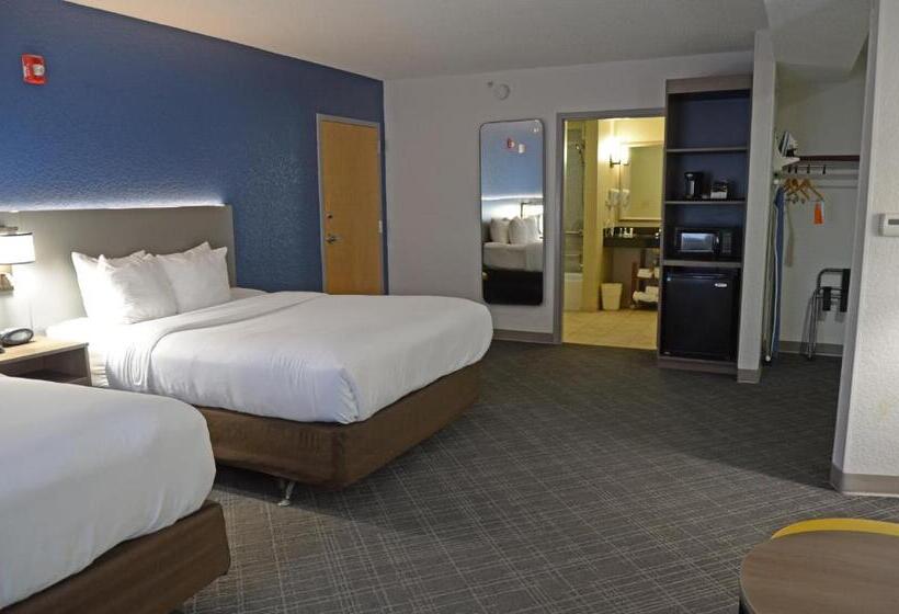 스위트, Comfort Suites Salemroanoke I81