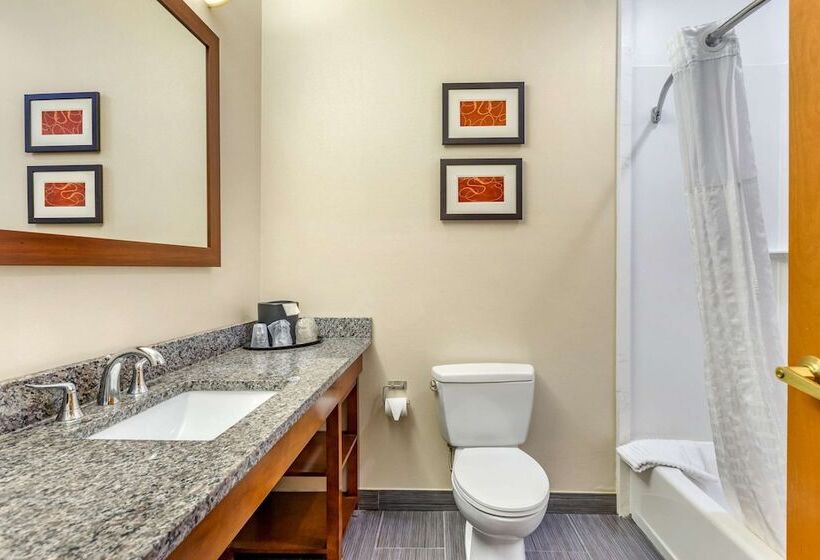 جناح, Comfort Suites Southgate Detroit