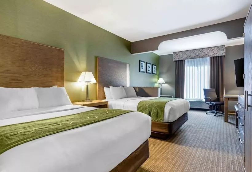 スイート, Comfort Suites Southgate Detroit