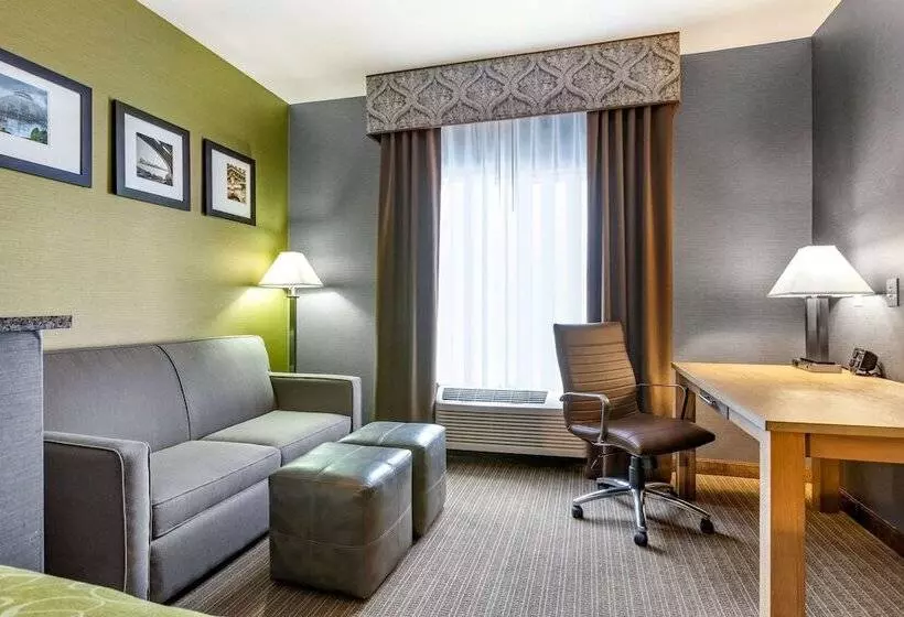 スイート, Comfort Suites Southgate Detroit