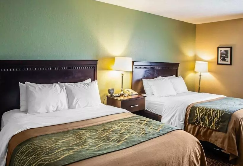 ２ダブルベッドのスタンダードルーム, Quality Inn Belton  Kansas City South