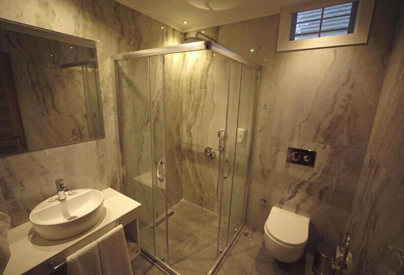 חדר סטנדרט, Seyir Village