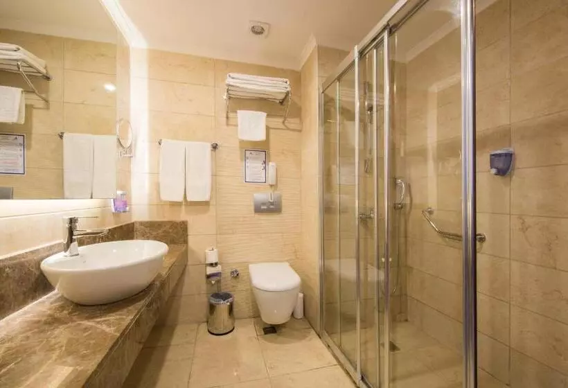 اتاق اساندارد با چشم‌انداز جانبی به دریا, Side Alegria Hotel & Spa   Adults Only   All Inclusive