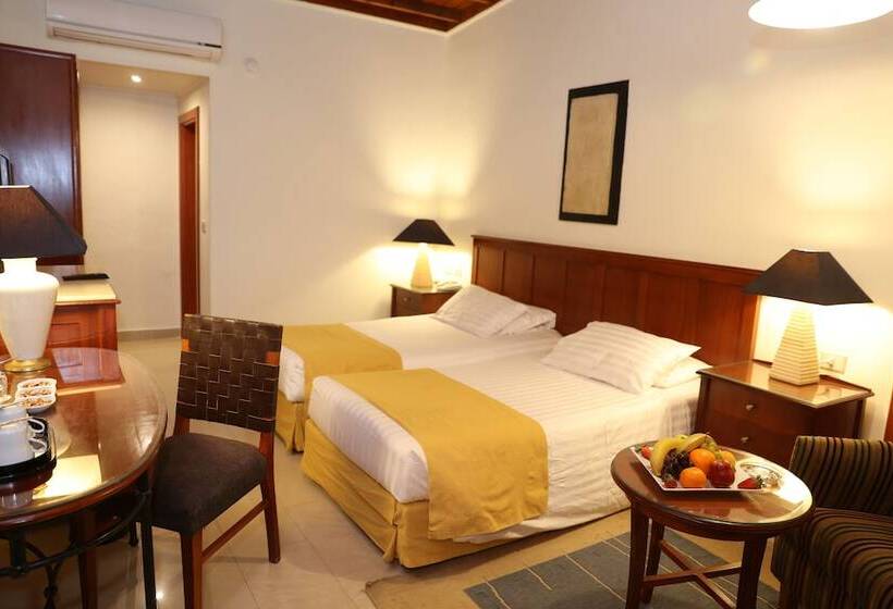 اتاق سوپریور با چشم‌انداز دریا, Nuweiba Club Resort