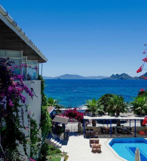 Четырехместный Номер Стандарт Вид на Море, One More Day Hotel