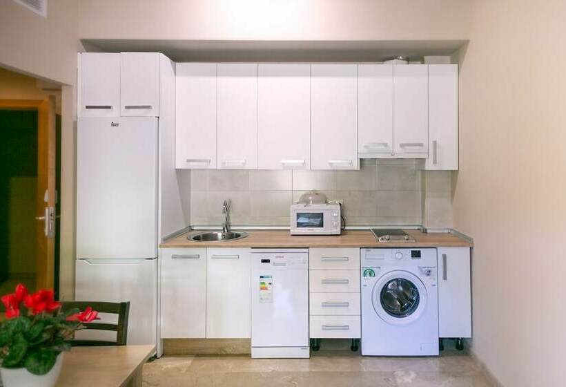 آپارتمان 2 خوابه, Apartamentos Turísticos La Castilleja