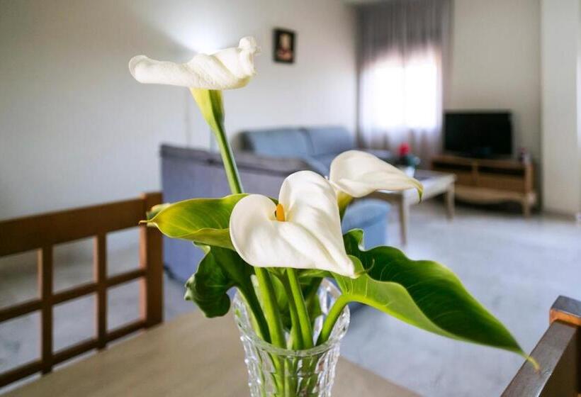 استودیوی استاندارد, Apartamentos Turísticos La Castilleja