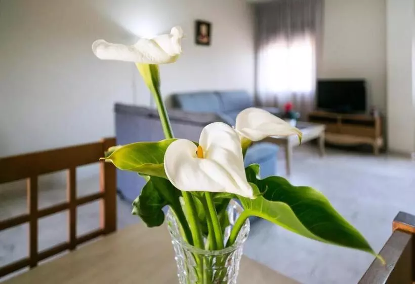 آپارتمان 2 خوابه, Apartamentos Turísticos La Castilleja
