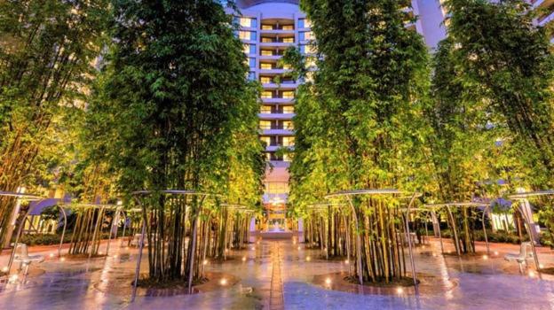 침실 2개 아파트, Bay Lake Tower at Disney's Contemporary Resort