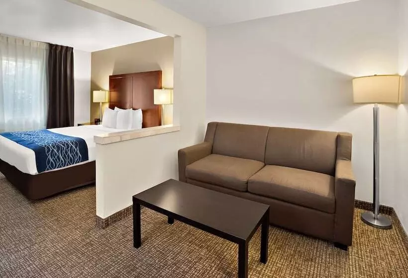 身障者適用スイートルーム, Comfort Inn Lacey Olympia