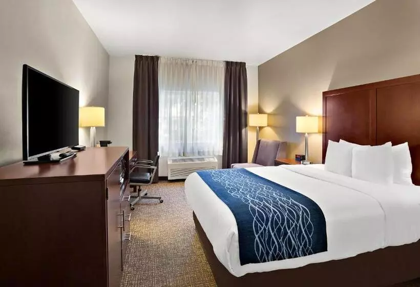 キングサイズベッドのスタンダードルーム, Comfort Inn Lacey Olympia