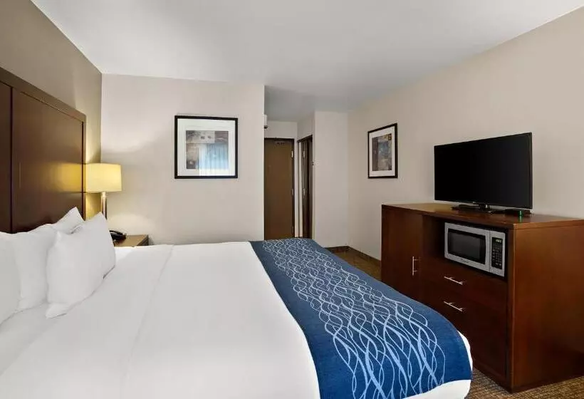 キングサイズベッドのスタンダードルーム, Comfort Inn Lacey Olympia
